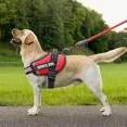 thumbnail image 2 of Chaleco Para Perros De Servicio, Arnes Reflectante Para P..., 2 of 8