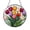 Acrylic 3.5 Inch, variant on Tulip Flower Stained Glass Window Suncatcher, Vibrant Floral Hanging Decor, Decorative Art Accent for Sunlit Rooms