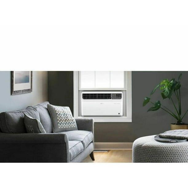 LG 10,000 BTU Smart AC - Window panels for appliance retail