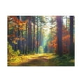 thumbnail image 2 of Autumn Forest Sunlight Shine Orange Tree Nature Wilderness Photography Canvas Wall Art for Home Decor Ready-to-Hang, 2 of 18