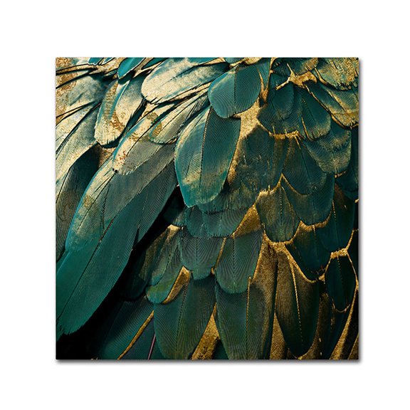 Trademark Fine Art "Feather Glitter" Canvas Art by Color Bakery