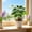 A, variant on Artificial Mini Schefflera Plant, Fake Money Tree Potted Bonsai for Indoor Home Decor