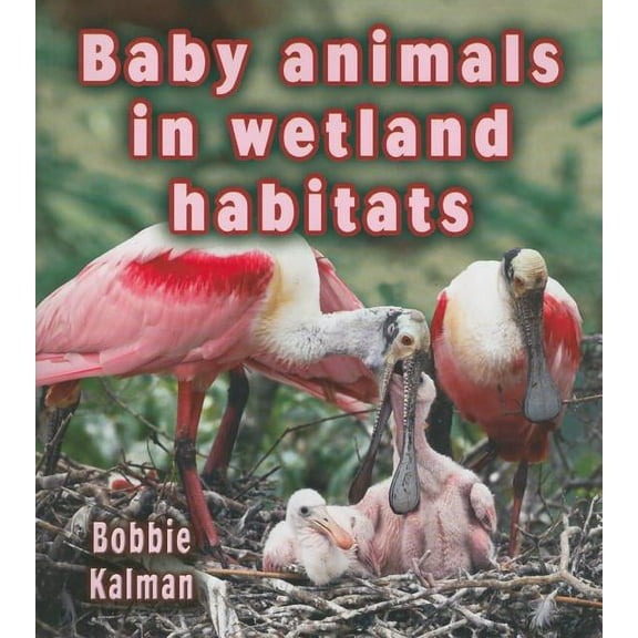 Habitats of Baby Animals: Baby Animals in Wetland Habitats (Paperback)