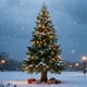 thumbnail image 5 of 12 bolas navideñas de terciopelo flocadas, adornos navideños de plástico, adornos colgantes decorativos para árbol de Navidad, decoración de 2,4 cm., 5 of 6