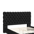 thumbnail image 5 of Benjara James Queen Size Bed- Platform Style- Button Tufted Black Velvet, 5 of 6