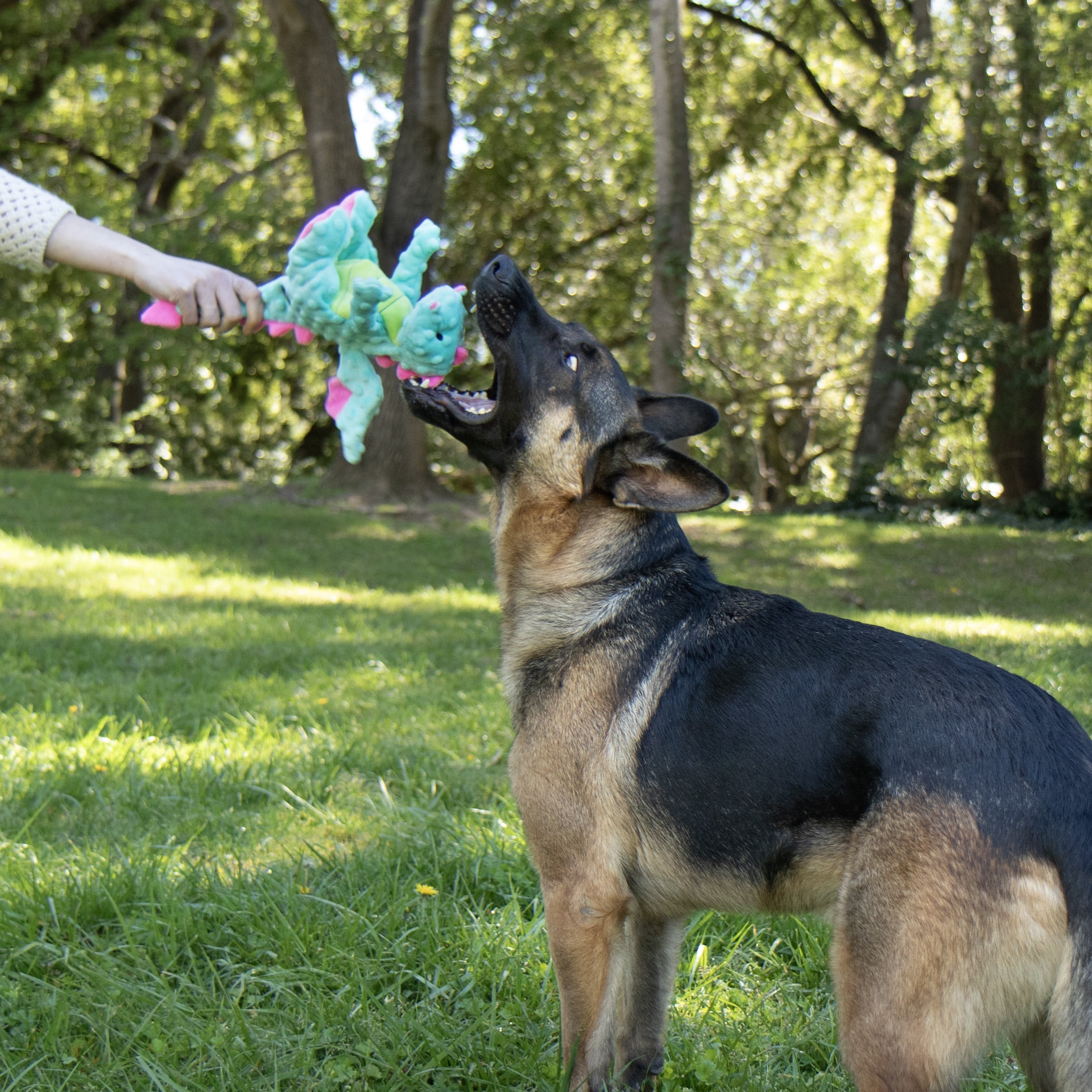 goDog Dragons Extra Soft Plush Toy for Dogs with Chew Guard Technology for Stronger & Longer Play, Soft & Durable with Built-In Squeaker, Seafoam, Medium