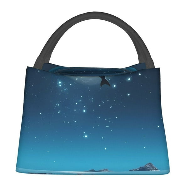 Easygdp Night Sky Moon Dolphin Bolsa de Almuerzo Insulada Reutilizable, Bolsa de Mano y Bandolera para Oficina, Trabajo, Viajes