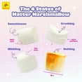 thumbnail image 4 of De La Rosa Bianchi Mini Rainbow Marshmallow Packets, Assorted Fruit Flavors, 30 Count, 4 of 11