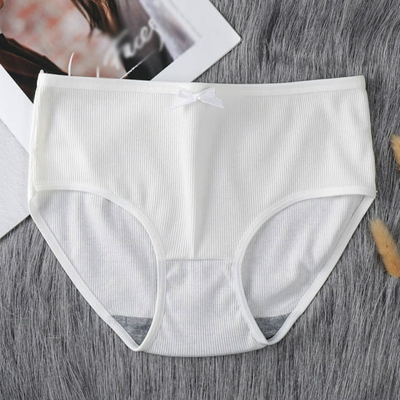 ZenBath Women's Plus Microfiber Brief Panty Women Brief Underwear Seamless Brief