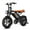 T16: Black + Brown, variant on 1000w Adult Off-Road Electric Bike, Five-Speed Transmission, 16-Inch Wide Tires, 48v15ah Removable Battery, Front And Rear Dual Disc Brakes With Dual Spring Shock Absorbers