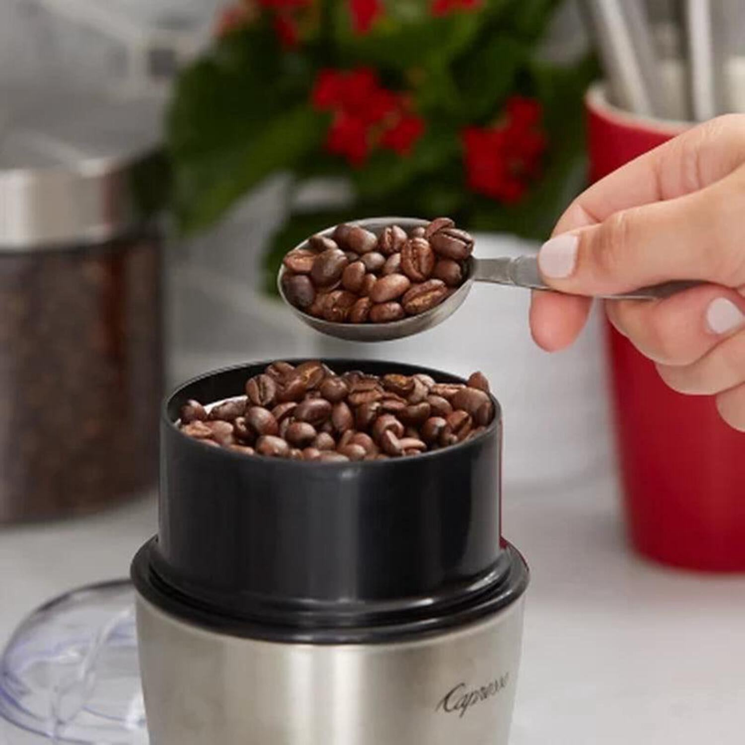 Tim Hortons Whole Bean Coffee, Medium Roast (32 oz.)