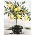 thumbnail image 2 of Hollihocks Art 20x24 Gold Ornate Wood Framed with Double Matting Museum Art Print Titled - Lemon Tree, 2 of 4