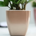 thumbnail image 7 of ievspot 1 Pcs Self Watering Planter African Pots Plastic Flower Plant Pot for All House Plants, Flowers, Herbs, 7 of 7