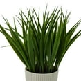 thumbnail image 2 of Mainstays intérieur artificiel herbe verte en Pot, couleur vert, hauteur assemblée: 27cm, 2 of 5