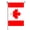 Canada, variant on Brazil Flag Small Mini Brazilian Garden Flags 12x18 Double Sided Weather Resistant Yard Flags for Outdoor Decor (Brazil)