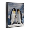 thumbnail image 2 of Stupell Industries Contemporary Penguins In The Wild Black Framed Giclee Art, 11 x 14, by Scott Stulberg, 2 of 8