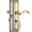 Polished Gold-handle&lock, variant on Storm Door Handle Accessory Set Fit Pella Replacement Part With Key And Lock Cylinder (polished)
