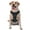 With Accessories, variant on Vsdgher Chemistry Formulas 2 Pattern Dog Harness,No Pull Pet Harness with Soft Padded Handle,Adjustable Reflective Vest with 2 Buckles,4 Slide Buckles,S-XL X-Large