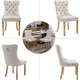 thumbnail image 6 of LegaHome Dining Chairs Set of 2, Modern Upholstered Velvet Dining Room Chairs with Nailhead Trim and Golden Stainless Steel Plating Solid Wood Legs, Tufted Button Padded Chairs Set for Kitchen, Beige, 6 of 11