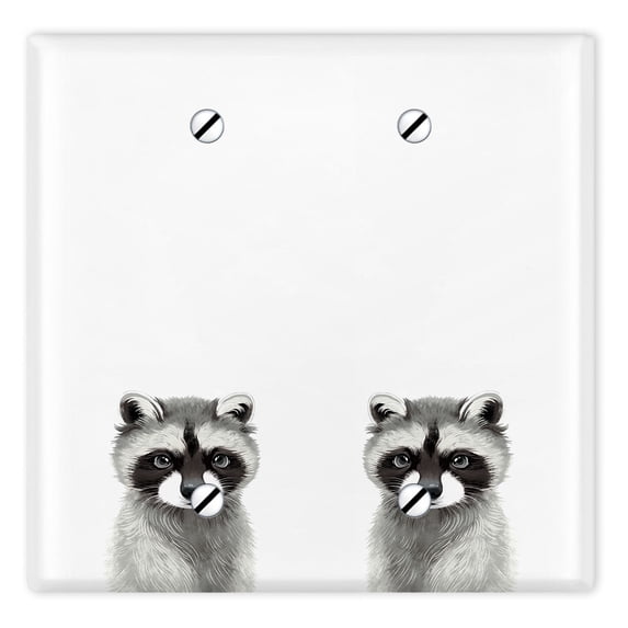 WIRESTER 2-Gang No Device Wall Plate Cover, Nursery Baby Raccoon Kits