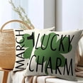 thumbnail image 6 of St. Patrick''s Day Pillow Covers 20x20 Inch Green Four-Leaf Clover Charm Throw Pillow Covers Set of 2 St P, 6 of 6