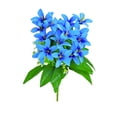 thumbnail image 2 of JeashCHAT 18 Heads Artificial Lily Flowers Bouquet Fake Silk Lilies Flowers 13.39inch Tall Lilies with Stems for Home Office Vase Decor Table Centerpiece, Cemetery Flowers, Blue, 2 of 6
