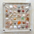 thumbnail image 4 of Shell Storage Box Mini Conch Micro Shell Specimen Collection Height Transparent Box Acrylic Storage, 4 of 7