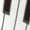 White, variant on Honeii Piano Keys With Musical Notes Print Adult Socks,Crew Socks,Casual Calf Socks,Daily Wear Socks for Men & Women, Perfect for Sports, Casual and Everyday Use