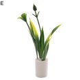 thumbnail image 1 of HEVIRGO Mini Simulation Plantes en Pot Finition Fine d'Exécution Vive Maison de Poupée Accessoire Maison de Poupée Décor Simulation Plantes en Pot pour Enfants, 1 of 10