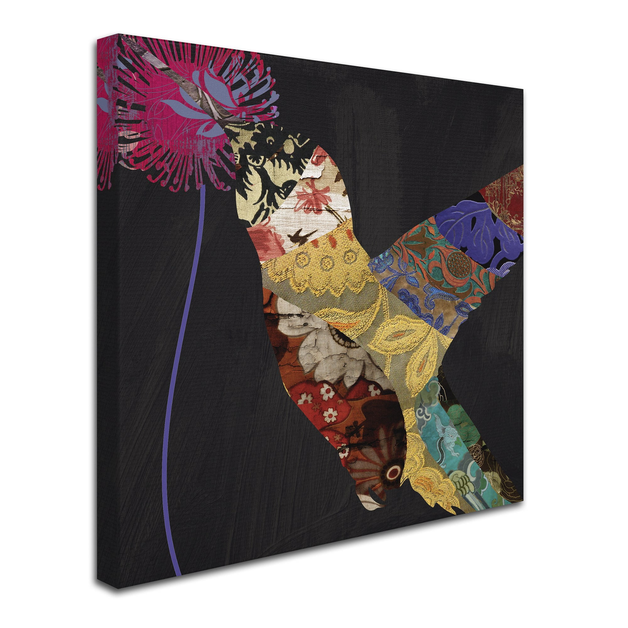 Trademark Fine Art "Hummingbird Brocade  II" Canvas Art by Color Bakery