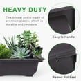 thumbnail image 5 of 10 Pack Training Bonsai Pots With Plastic Tray For Bonsai Plants Garden Yard Bedroom Balcony 16.5 X 12Cm, 5 of 6