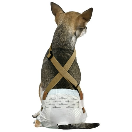 UPC: 0682198766755 | Paw Inspired Dog Diaper Suspenders | Keep Male Dog Wraps and Female Dog Diapers Stay on with Suspenders | Fits Washable and Disposable Puppy Doggie Cat Pet Diapers and Male Dog Belly Band(XS/S  Brown)