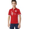 adidas Boys' Soccer AC Milan Youth Jersey, Black/Red/Granite, Medium