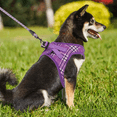thumbnail image 3 of Magshion No Pull Dog Harness with Leash, No Choke Reflective Pet Vest Adjustable Breathable Mesh Harnesses Dogs Walking, Purple XL, 3 of 10