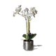 thumbnail image 1 of Planta Artificial JARDECO D-KOMANIA Planta Artificial, 1 of 1