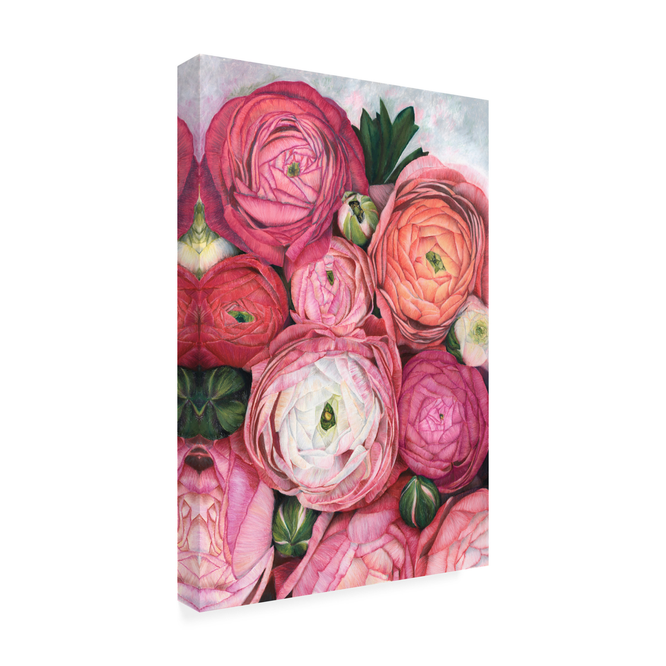 Trademark Fine Art Rosana Laiz Blursbyai Arleth ranunculus bouquet in warm pink Canvas Wall Art