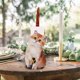 thumbnail image 5 of Puppy Shape Rolling Towel Rack, Paper Towel Holder, Cute Iron Storage, Foldable 2-Tier Design, Living Room Bathroom Decor, Home Office Use, High Volume Search Volume, Verified Over 1000,, 5 of 9