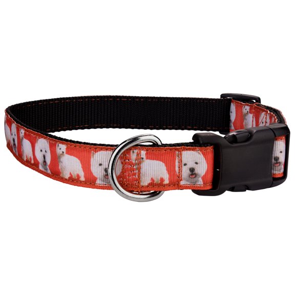 Country Brook Petz® Deluxe West Highland Terrier on Black Ribbon Dog Collar Limited Edition, Small