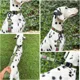 thumbnail image 3 of Collar De Acción Impermeable Para Perros | Collar De Perro, 3 of 8