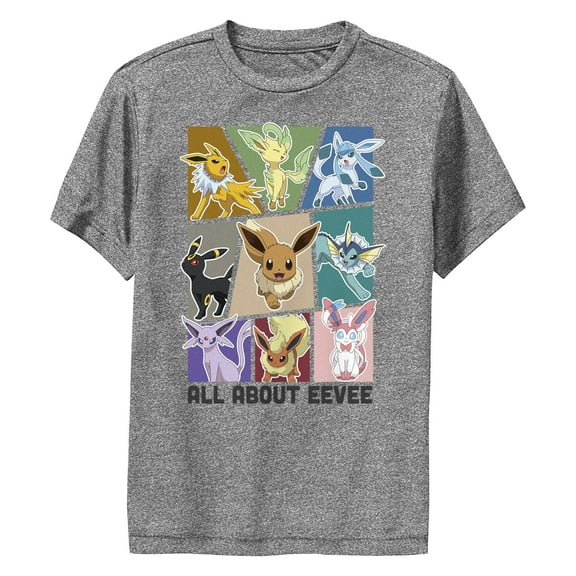 Boy's Pokemon All About Eevee Eeveeloution Performance Graphic T-Shirt