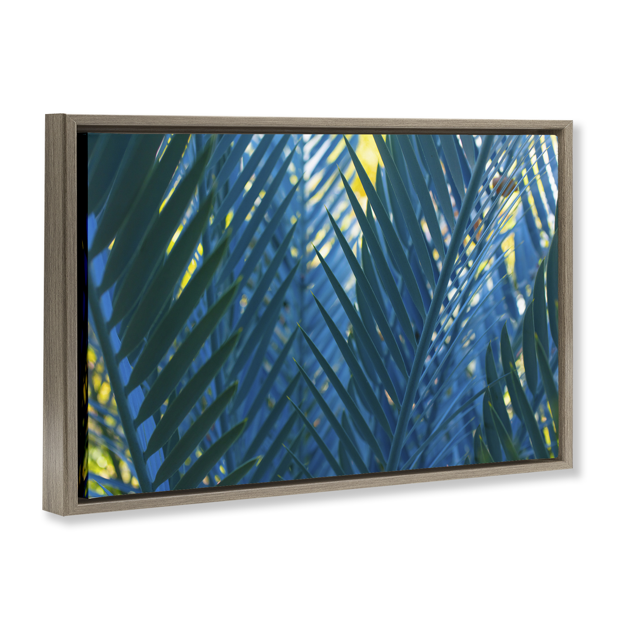Stupell Industries Blue Palm Fronds Plants & Flowers Photography Brown Floater Framed Canvas Art Print Wall Art, 25 x 17