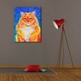 thumbnail image 4 of Epic Graffiti 'Orange Buff Tabby Cat' by Rebecca Wang Art, Acrylic Glass Wall Art, 26"x34", 4 of 8