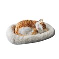 thumbnail image 1 of Dpityserensio Realistic Sleeping Breathing Furry Dog With Mat Animals Decor, 1 of 3