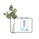 thumbnail image 1 of Love You Forever Cute quote Style Jarrones colgantes de vidrio transparente Decoración Botella, 1 of 4