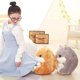 thumbnail image 5 of Kearding 2 en 1 Cojín para hámster Juego de mantas Juguetes de animales lindos Cojín de peluche con manta Decoración del hogar No.06 Kearding JJ65414-06, 5 of 6