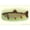 Unframed, variant on Art.com Eastern Brook Trout Stretched Canvas Print Wall Art, 18" x 12"