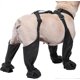 thumbnail image 1 of Botas con tirantes para perros, ajustables, impermeables, resistentes a la suciedad, para pasear al aire libre, correr, senderismo, con tirantes, protectores de patas Lucky_B, 1 of 5