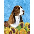 thumbnail image 1 of Carolines Treasures SS4146GF 11 x 15 In. Springer Spaniel Flag- Garden Size, 1 of 3
