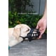 thumbnail image 5 of Bozal de silicona suave para perros (2) - Antimordeduras, ladridos y masticaciones - Para perros medianos y grandes - Con cubierta bucal reflectante, ajustable y transpirable, 5 of 5