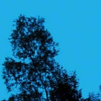 Gate - A Republic Of Sadness - Rock - Vinyl